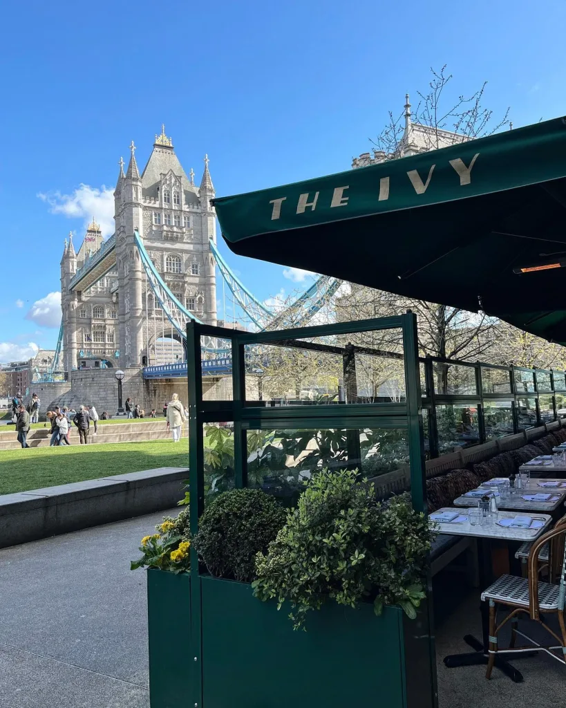 The Ivy