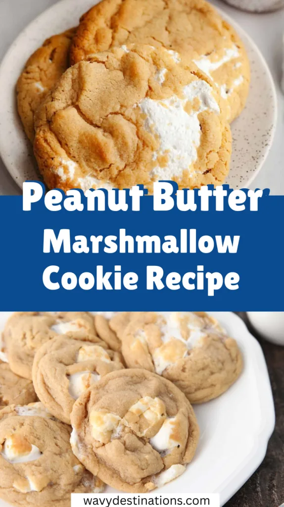 Peanut Butter Marshmallow Cookie Recipe 5 Peanut Butter Marshmallow Cookie Recipe