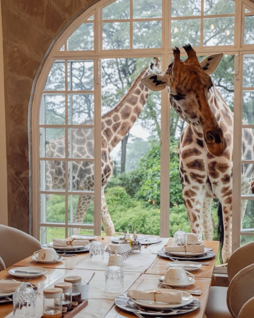 Giraffe Manor Restaurant