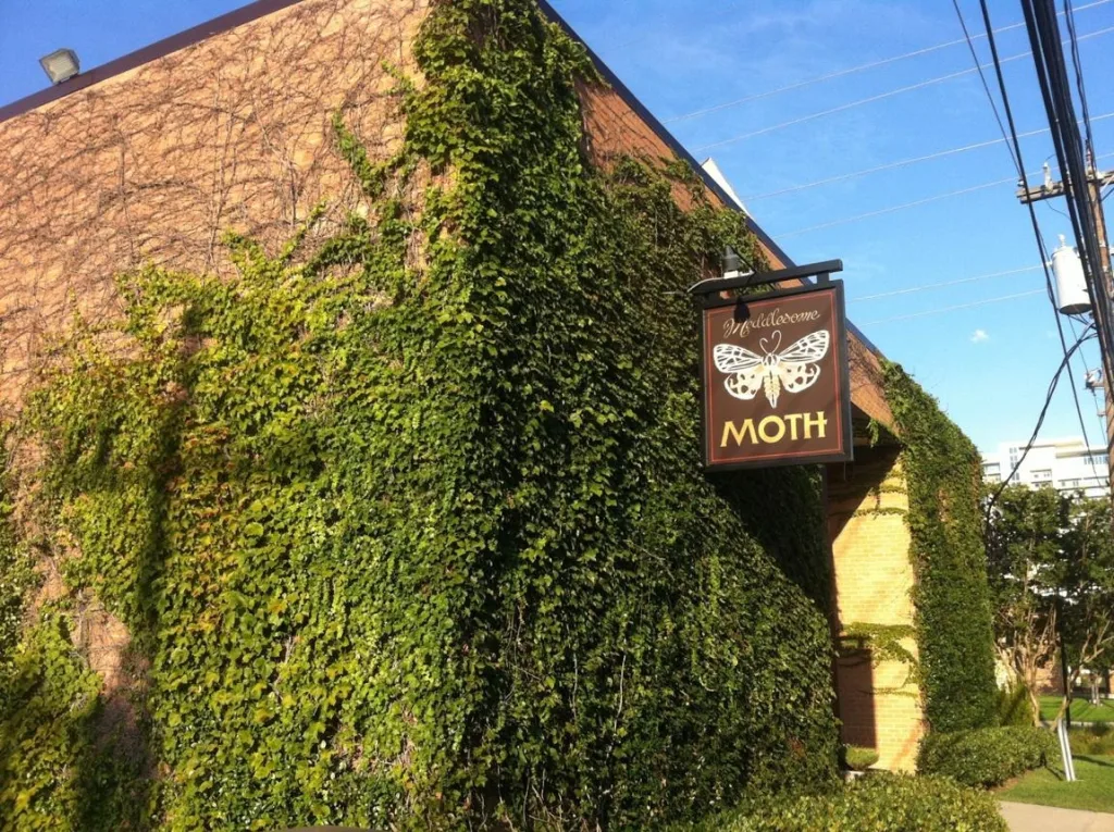 12 Dallas Restaurants Every Food Lover Should Visit Today 12 Meddlesome Moth Great Beer and Comfort Food