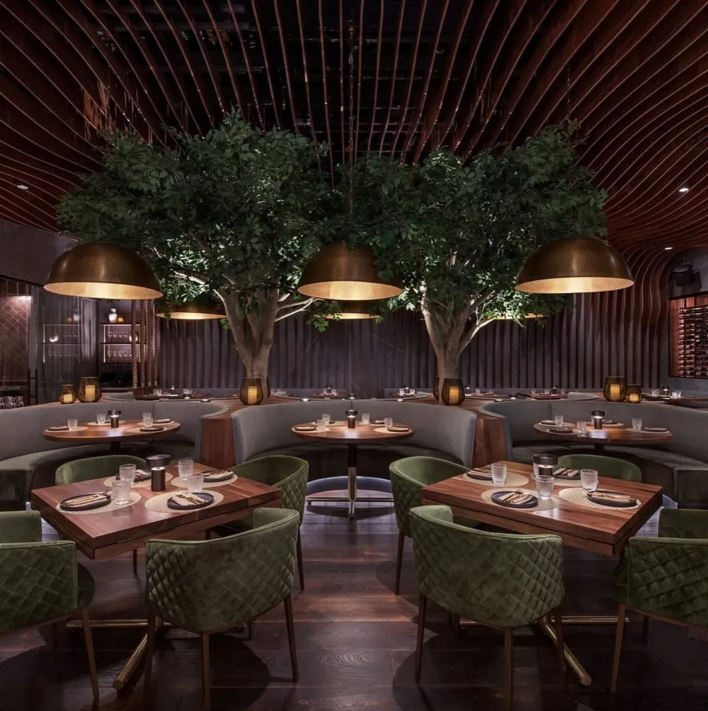 Toca Madera Inspired Upscale Interior