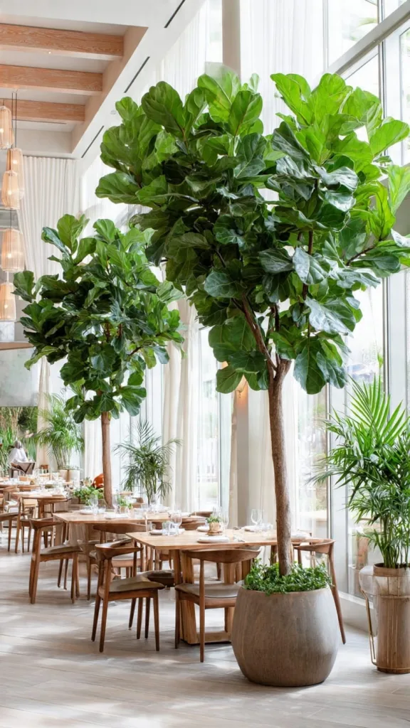 10 Plants in Restaurants with Stunning Green Interior Ideas 3 Large Indoor Statement Trees