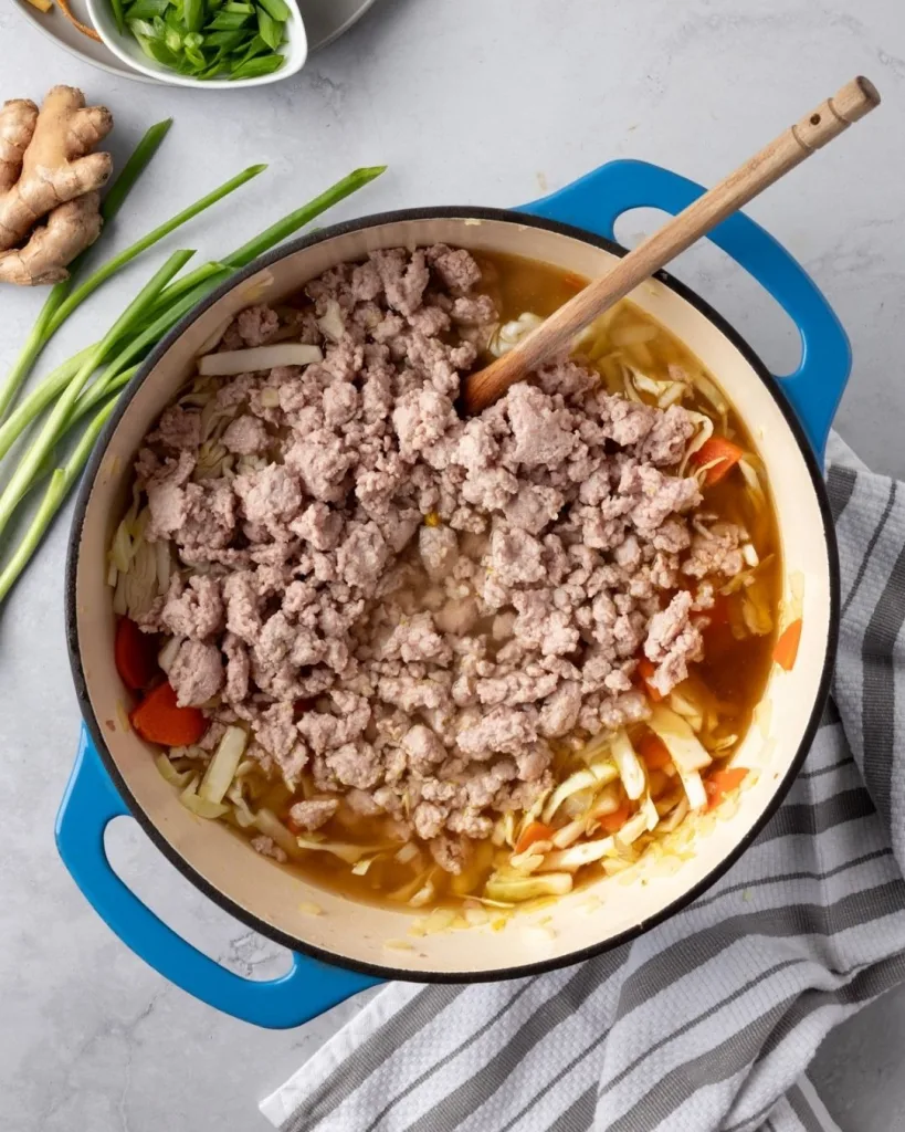Egg Roll Soup Recipe 2 Egg Roll Soup Recipe