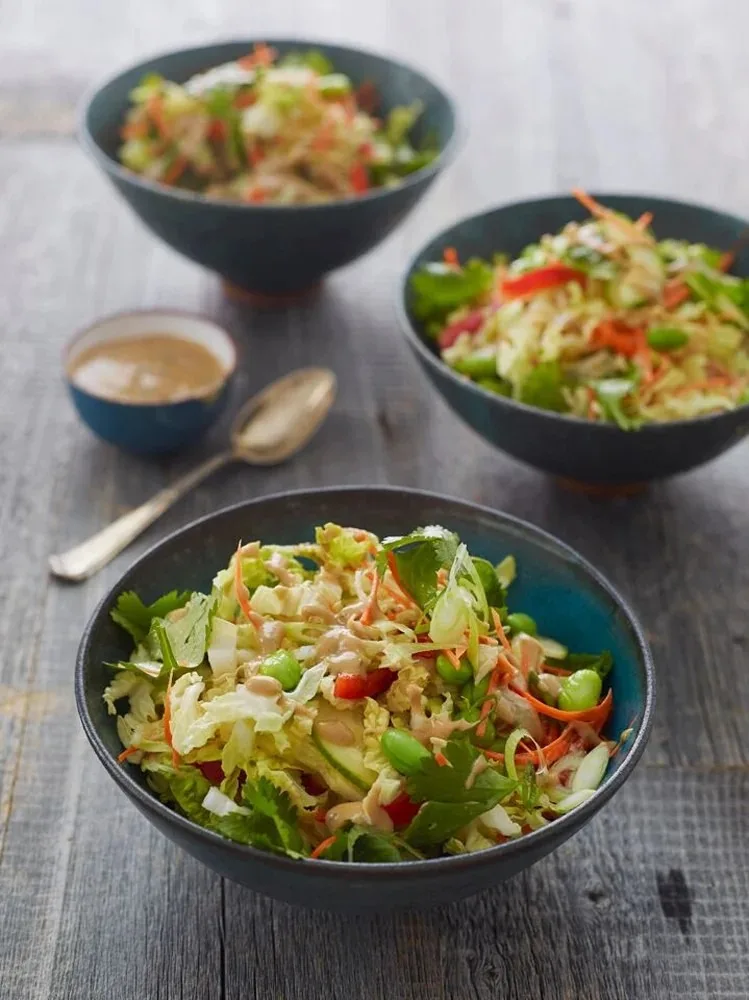 Crunchy Thai Chicken Salad with Peanut Dressing Recipe 1 Crunchy Thai Chicken Salad with Peanut Dressing
