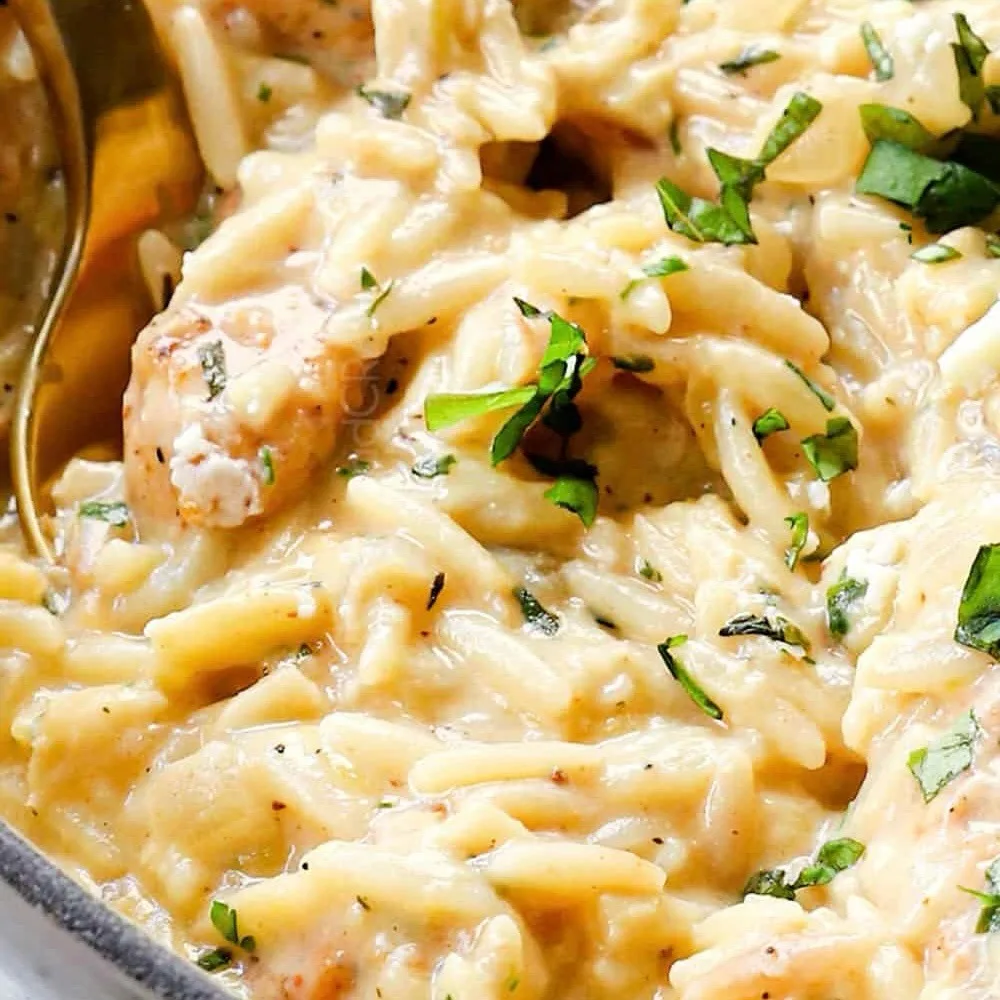 One Pot Lemon Chicken Orzo Recipe 1 One Pot Lemon Chicken Orzo