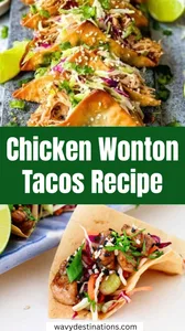 Chicken Wonton Tacos Recipe