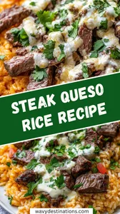 Steak Queso Rice Recipe