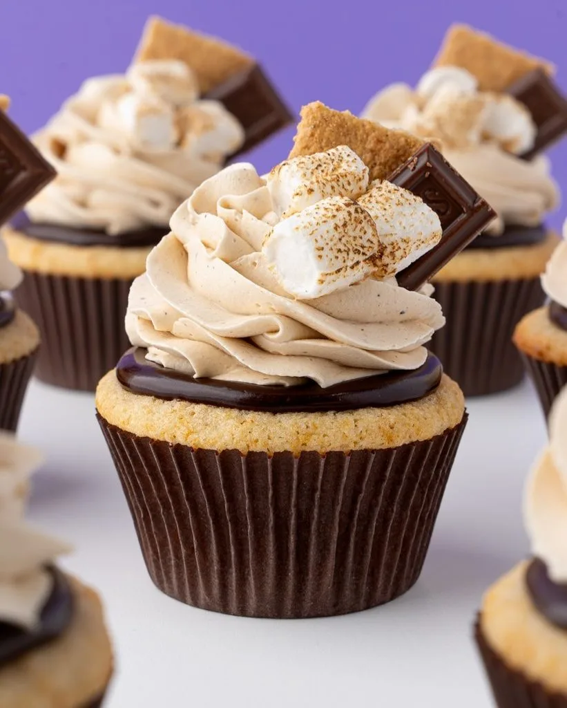 S'mores Cupcakes Recipe