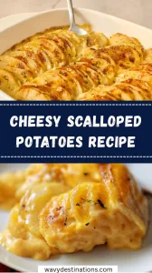 Cheesy Scalloped Potatoes
