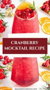 Cranberry Mocktail Recipe