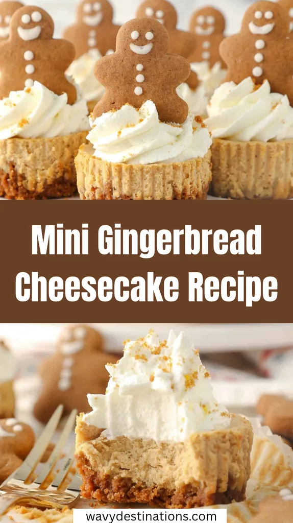 Mini Gingerbread Cheesecake Recipe 1 Mini Gingerbread Cheesecake