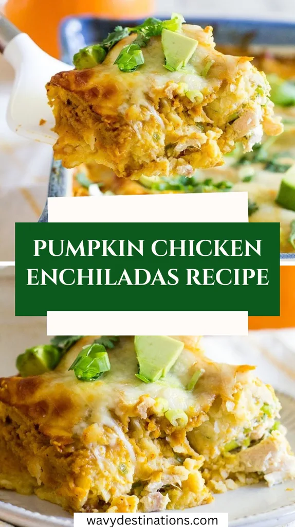 Pumpkin Chicken Enchiladas