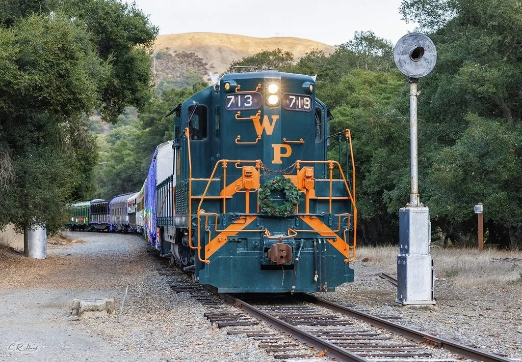 10 Magical Christmas Train Rides Across the USA 11 Train of Lights